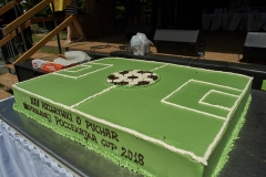 PUCHAR2018-169