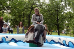 rodzinny_festyn_parafialny_2015_12_20150624_1740199054