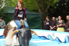 rodzinny_festyn_parafialny_2015_13_20150624_1487359209