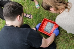 rodzinny_festyn_parafialny_2015_150_20150624_1008854702