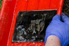 rodzinny_festyn_parafialny_2015_151_20150624_1193354358