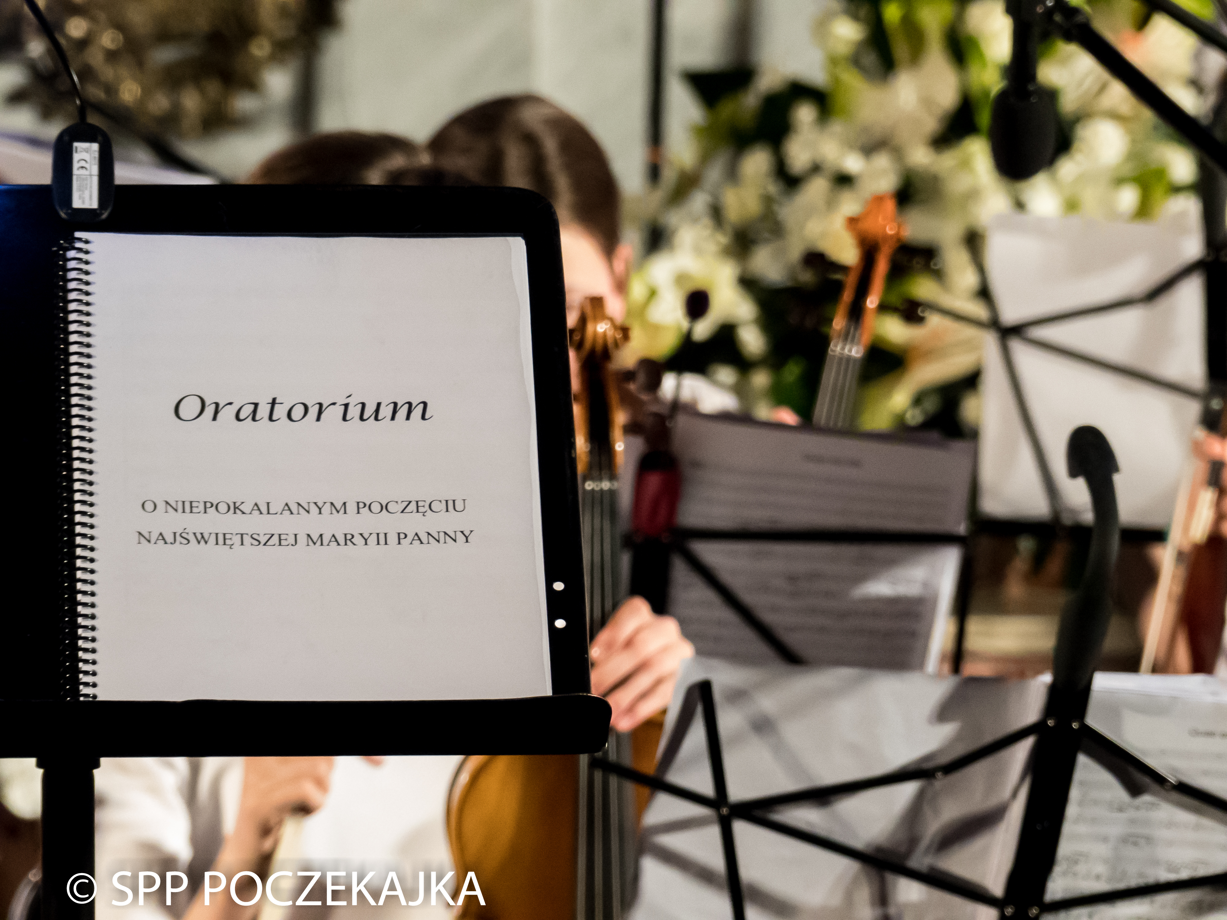 z_kultura_do_nieba_v_-_edycja_107_20170201_1088128451